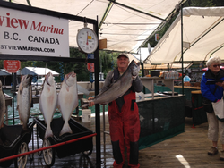 Salmon Madness In BC